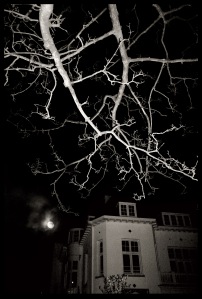 stockvault-haunted-house-at-night131716